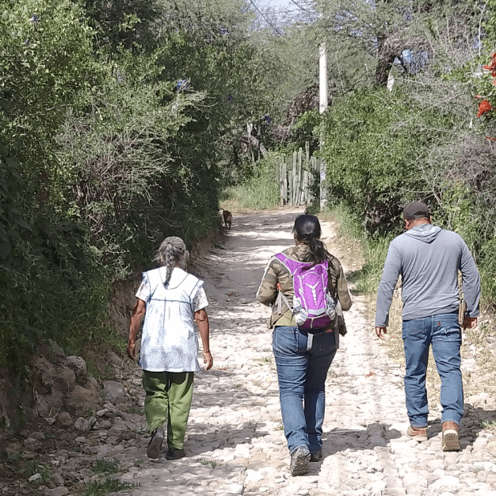 Screenshot 2026-01-11 at 12.47.39 a.m.